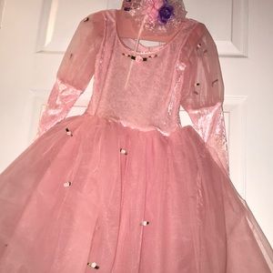 💝👑✨Dream Dazzlers PINK Dress🎃 Halloween Costume